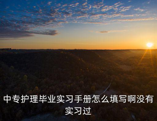 護理實習手冊，護士實習手冊能不能補辦