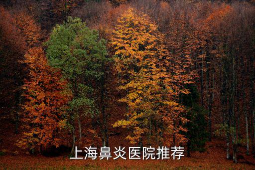 上海鼻炎醫院推薦