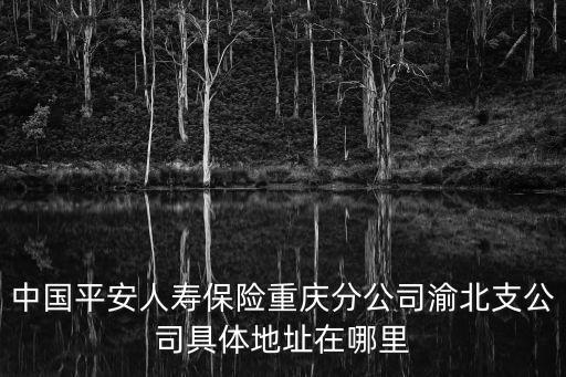 中國平安人壽保險重慶分公司渝北支公司具體地址在哪里