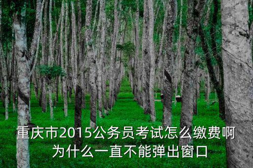 重慶市2015公務員考試怎么繳費啊  為什么一直不能彈出窗口
