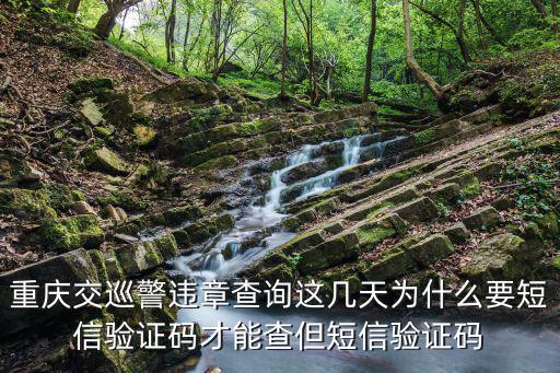 重慶交巡警違章查詢這幾天為什么要短信驗(yàn)證碼才能查但短信驗(yàn)證碼