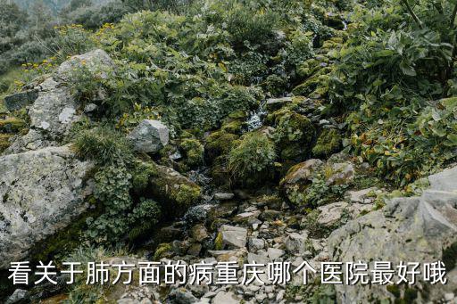 看關于肺方面的病重慶哪個醫院最好哦