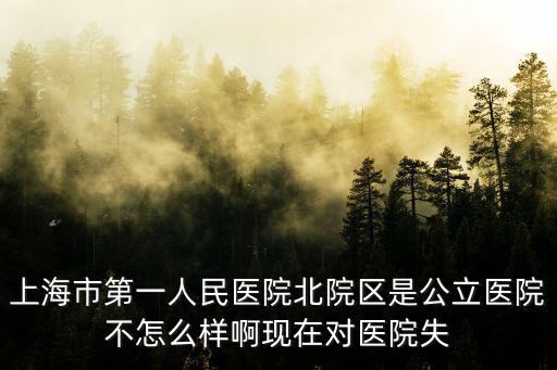 上海市第一人民醫院北院區是公立醫院不怎么樣啊現在對醫院失
