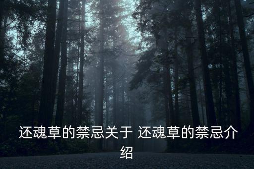  還魂草的禁忌關于 還魂草的禁忌介紹