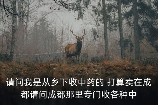 請問我是從鄉下收中藥的 打算賣在成都請問成都那里專門收各種中