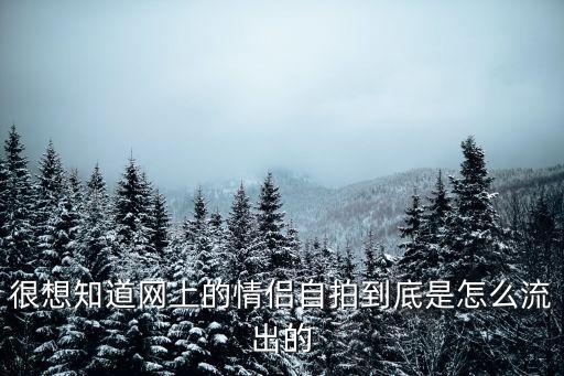 很想知道網上的情侶自拍到底是怎么流出的