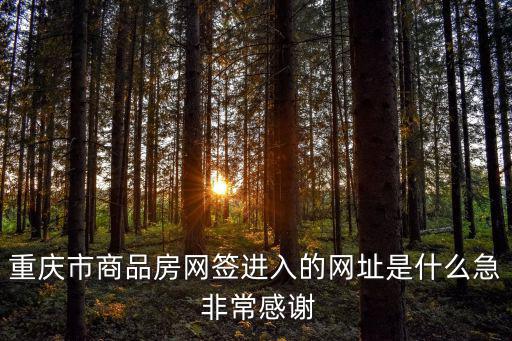 重慶市商品房網簽進入的網址是什么急 非常感謝