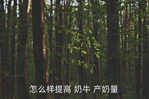 怎么樣提高 奶牛 產(chǎn)奶量