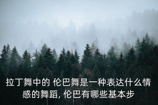 倫巴舞基本步,巴西舞蹈《拉丁舞技巧》第一集