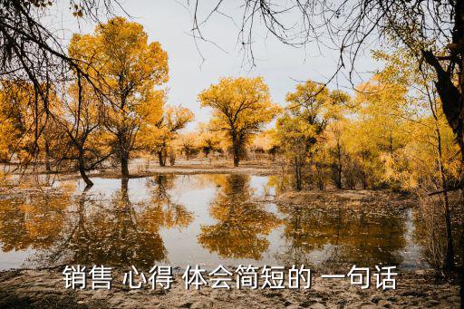 銷售 心得 體會簡短的 一句話