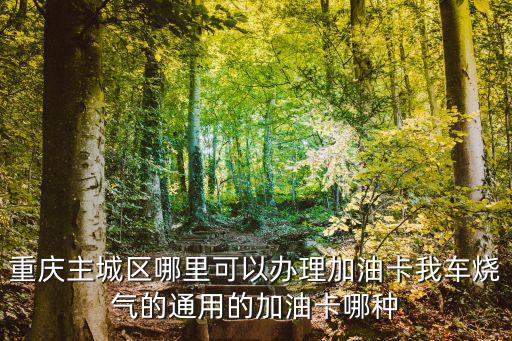 重慶主城區哪里可以辦理加油卡我車燒氣的通用的加油卡哪種