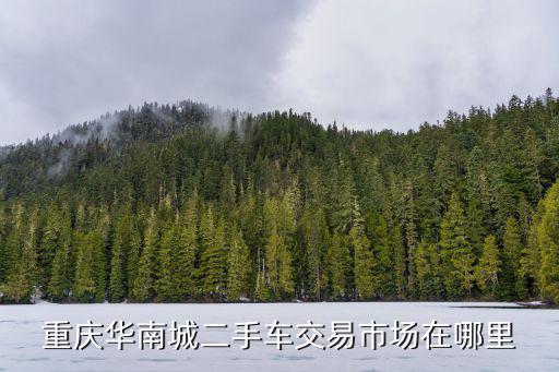 重慶市場二手車，重慶二手皮卡交易市場在哪里