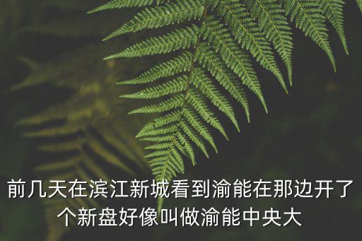 前幾天在濱江新城看到渝能在那邊開了個新盤好像叫做渝能中央大