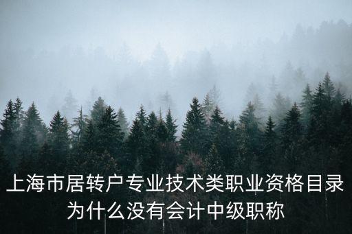 上海市居轉(zhuǎn)戶專業(yè)技術(shù)類職業(yè)資格目錄為什么沒有會計中級職稱