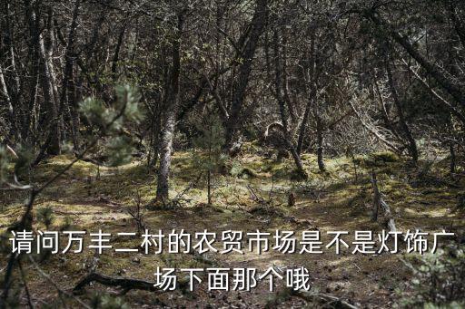 重慶市萬豐二村拆，請(qǐng)問萬豐二村的農(nóng)貿(mào)市場(chǎng)是不是燈飾廣場(chǎng)下面那個(gè)哦