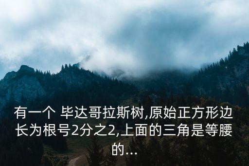 有一個 畢達哥拉斯樹,原始正方形邊長為根號2分之2,上面的三角是等腰的...