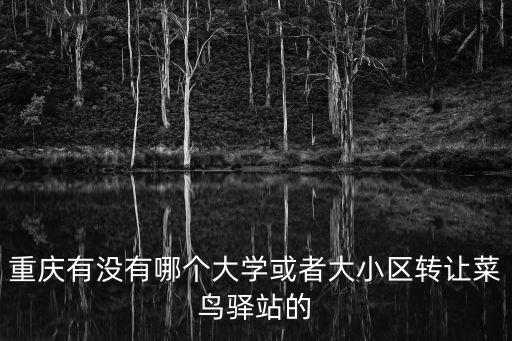 重慶有沒有哪個大學或者大小區(qū)轉讓菜鳥驛站的