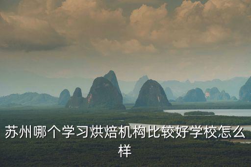蘇州哪個(gè)學(xué)習(xí)烘焙機(jī)構(gòu)比較好學(xué)校怎么樣