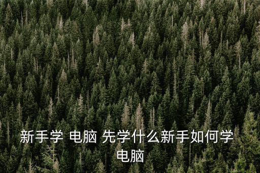 新手學 電腦 先學什么新手如何學 電腦