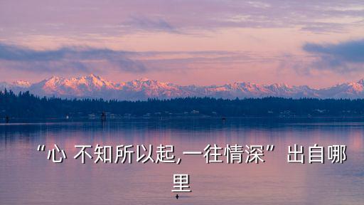 “心 不知所以起,一往情深”出自哪里