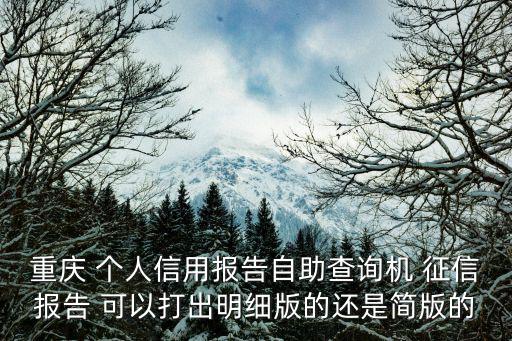 重慶 個人信用報告自助查詢機 征信報告 可以打出明細版的還是簡版的