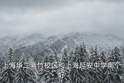 上海華二紫竹校區和上海延安中學哪個好