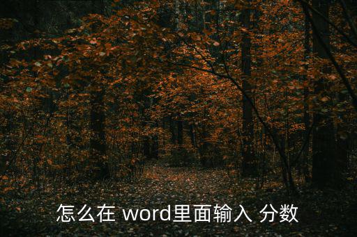 怎么在 word里面輸入 分數