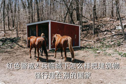 兵臨城下2,武漢出動軍機赴武漢接載武漢病患