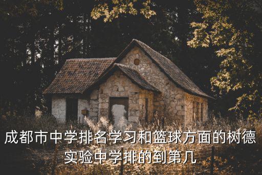 成都市中學(xué)排名學(xué)習(xí)和籃球方面的樹德實(shí)驗(yàn)中學(xué)排的到第幾
