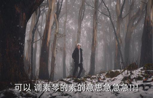 可以調(diào)素琴,素調(diào)弦歌之旅