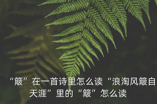 顛簸怎么讀,第二集:從勝利到失利的故事