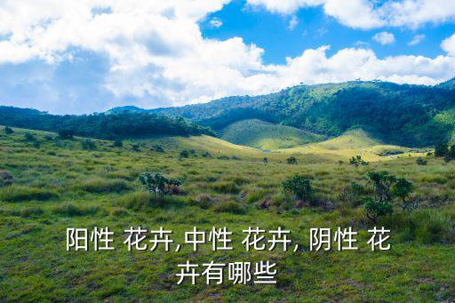 陰性花卉,秋季最佳觀葉花卉陰性花卉較多