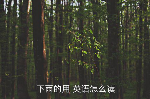  下雨的用 英語怎么讀