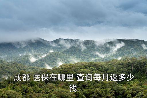 成都醫保查詢,四個問題需要你解答!