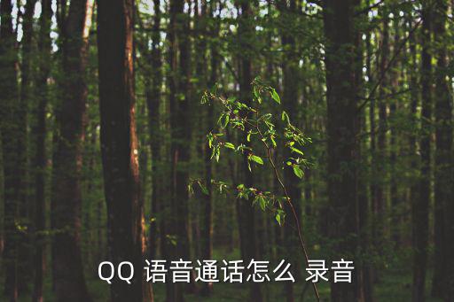 QQ 語音通話怎么 錄音