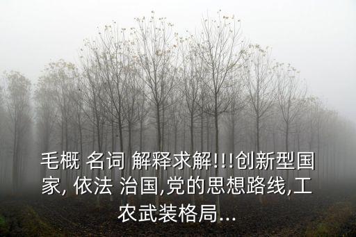 毛概 名詞 解釋求解!!!創新型國家, 依法 治國,黨的思想路線,工農武裝格局...