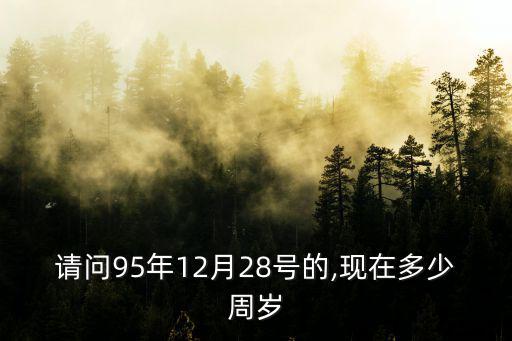 請問95年12月28號的,現在多少周歲