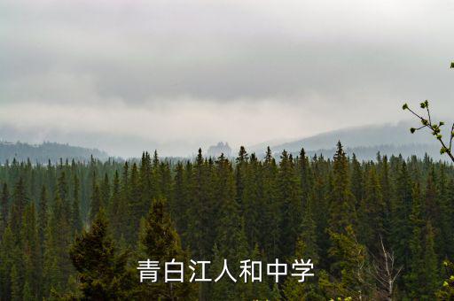 青白江人和中學