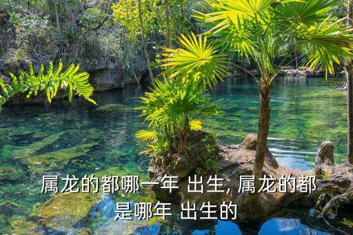 屬龍是哪年出生的,牛年的來龍去脈