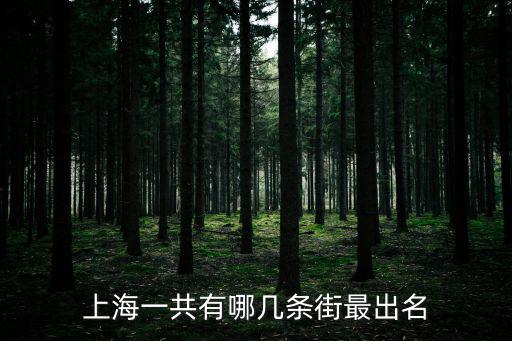 上海著名老街有哪幾條，上海有哪些老街可以逛上海最值得去的老街推薦