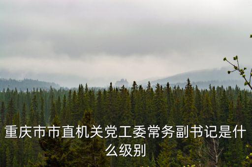 重慶市市直機關黨工委常務副書記是什么級別
