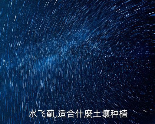 水飛薊的功效與作用,天飛大薊又名大薊籽保肝利膽藥物的原料