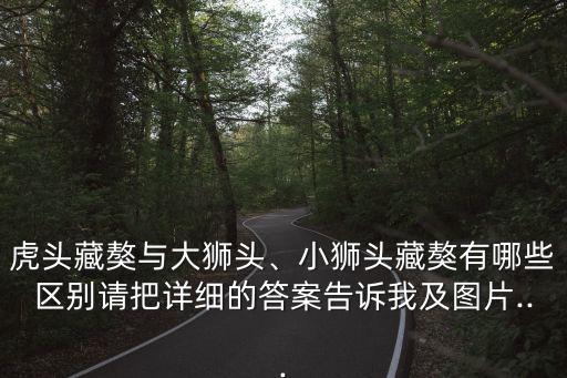 虎頭藏獒與大獅頭、小獅頭藏獒有哪些區(qū)別請把詳細(xì)的答案告訴我及圖片...