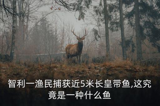 智利一漁民捕獲近5米長皇帶魚,這究竟是一種什么魚