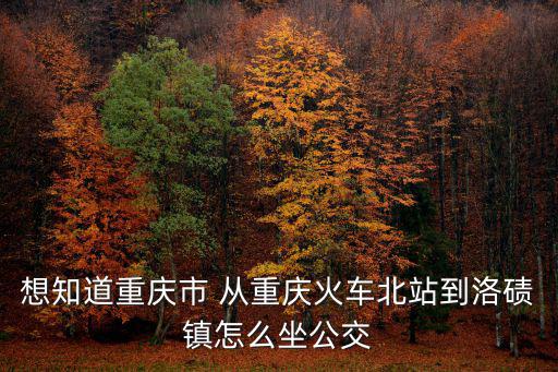 想知道重慶市 從重慶火車北站到洛磧鎮怎么坐公交