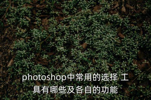 ps選區工具,選區photoshop工具包括哪些?
