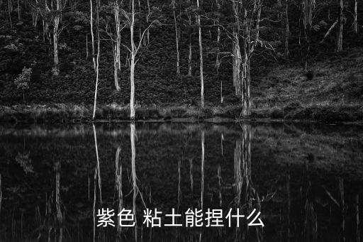 紫色 粘土能捏什么