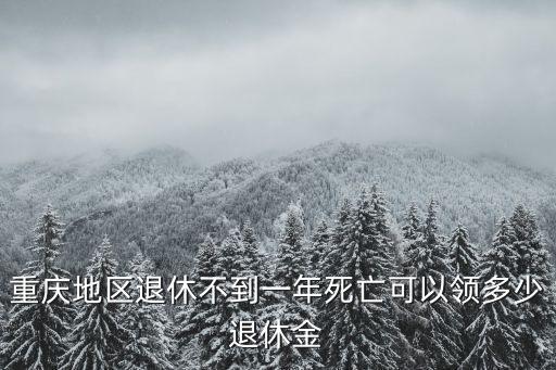 重慶地區退休不到一年死亡可以領多少退休金