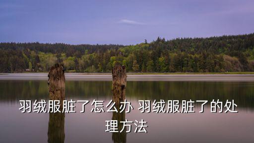  羽絨服臟了怎么辦 羽絨服臟了的處理方法