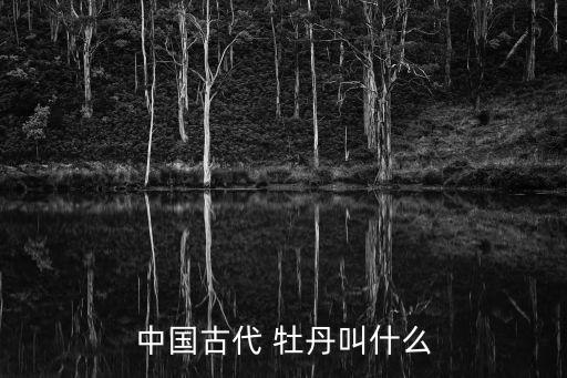中國牡丹,中國沒有法定國花牡丹被稱為花中之王